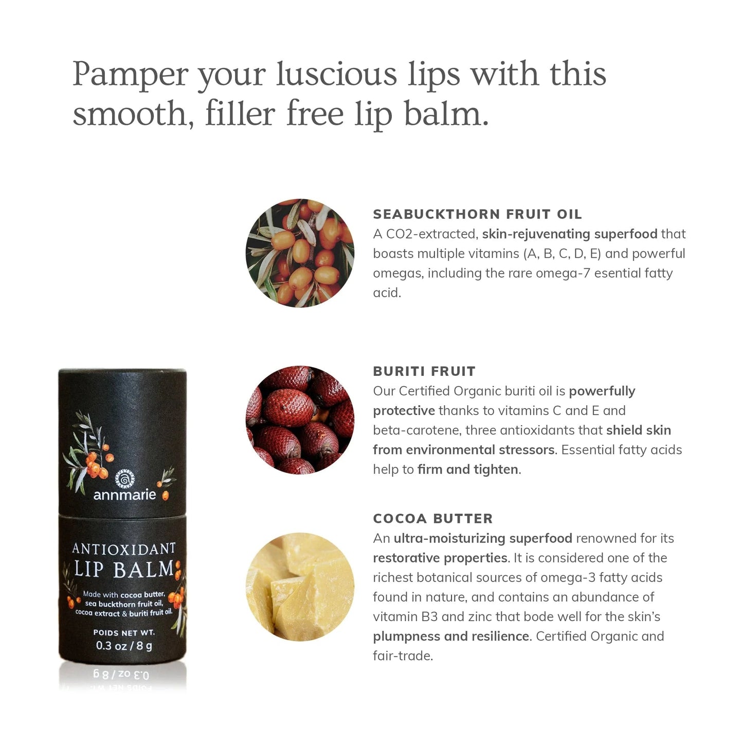 Antioxidant Lip Balm - WellHaus