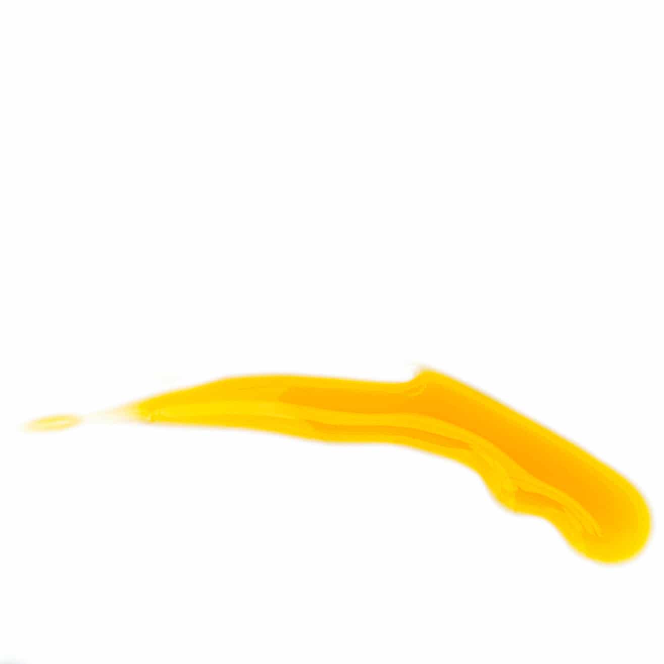 Antioxidant Serum - WellHaus