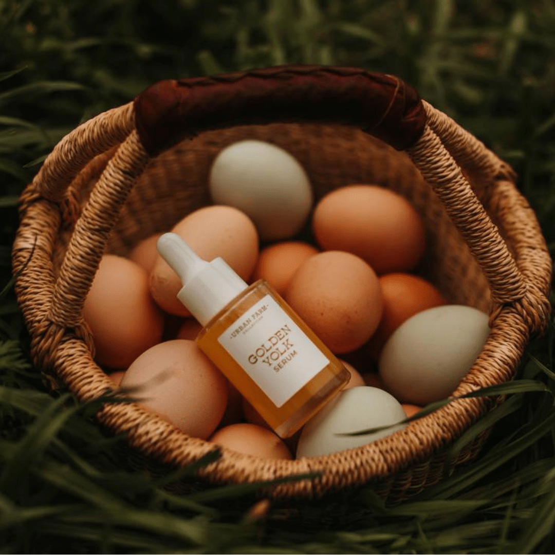 Golden Yolk Serum - WellHaus