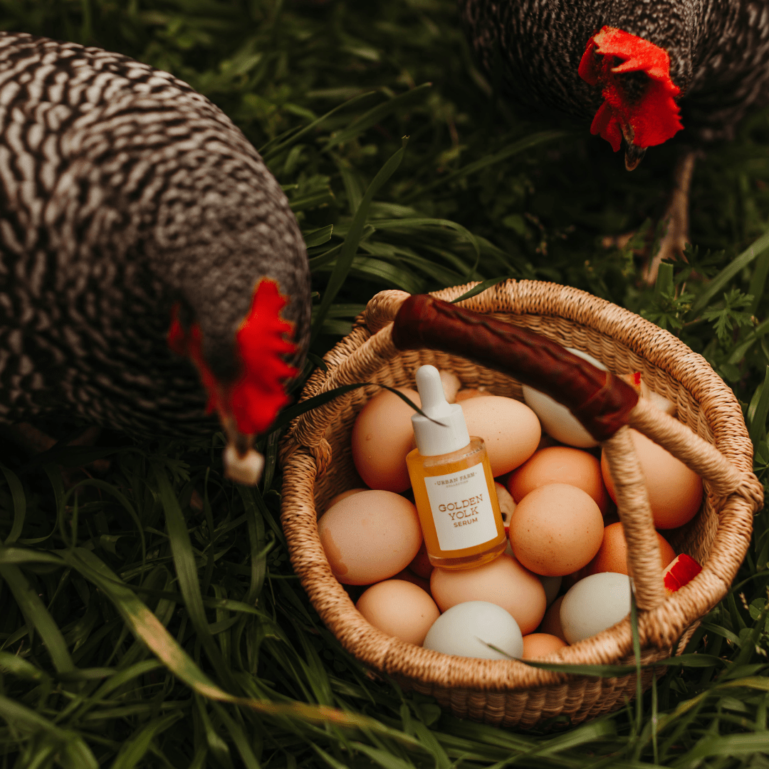 Golden Yolk Serum - WellHaus