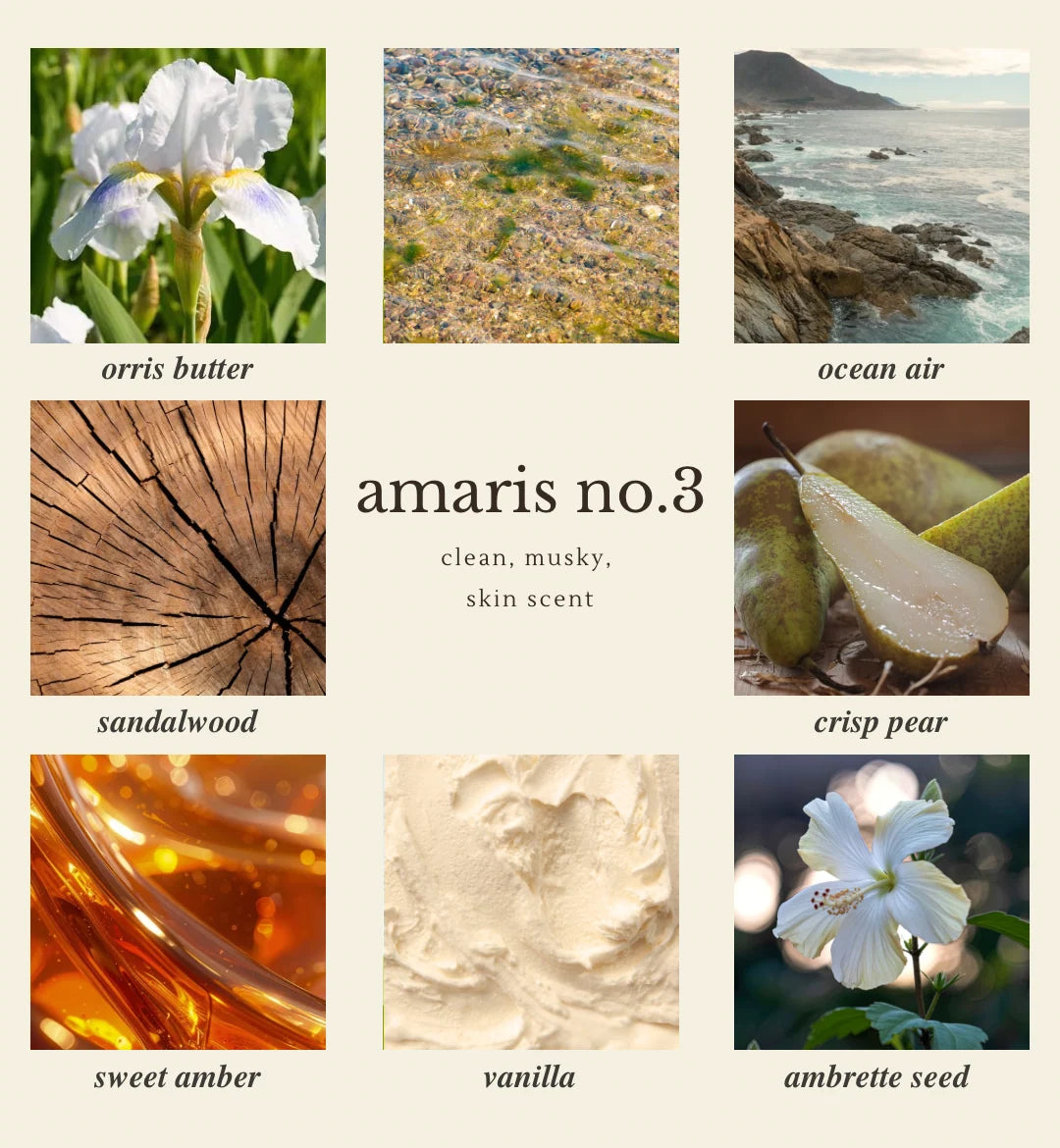Eau de Parfum | 15 mL
