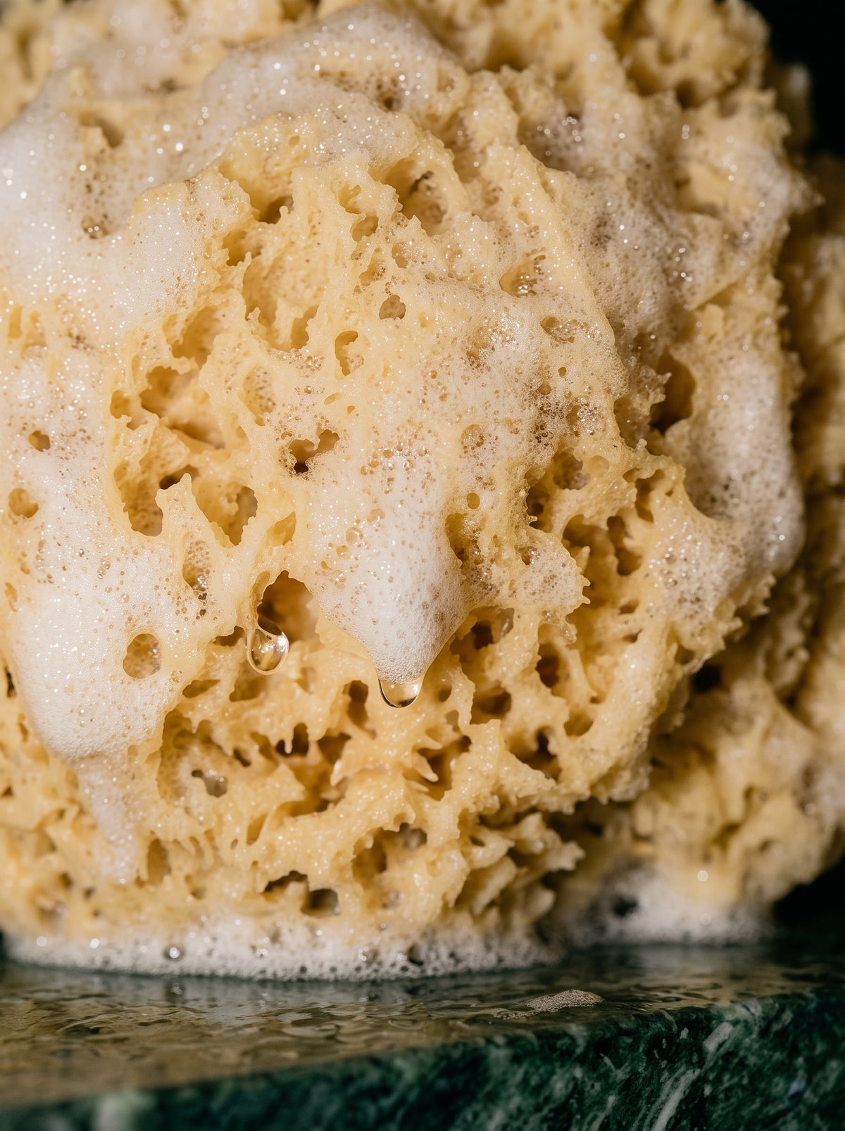 Wool Sea Sponge