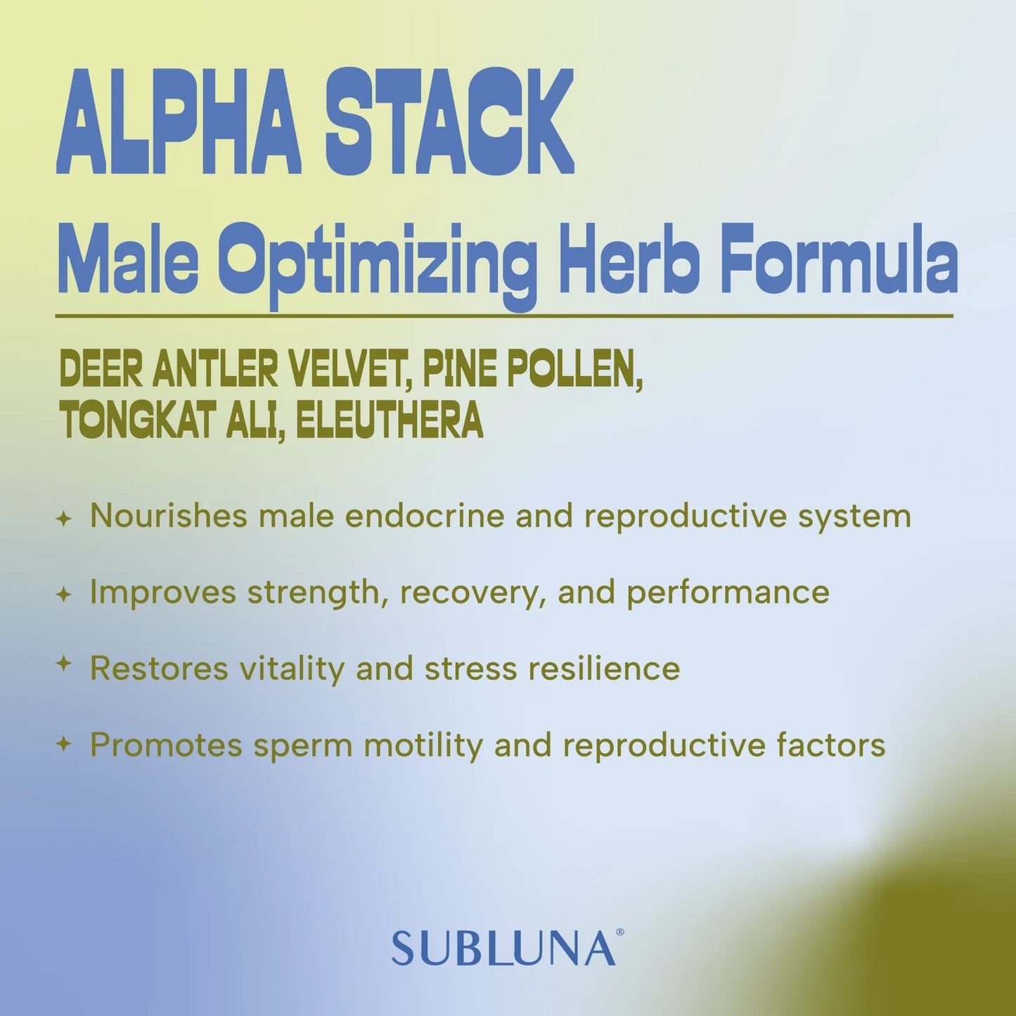 Alpha Stack: Male Performance Gummy - WellHaus