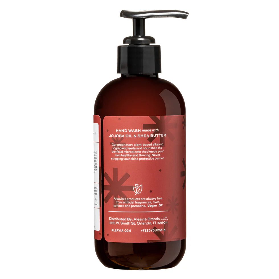 Balsam Winter Hand Wash - WellHaus