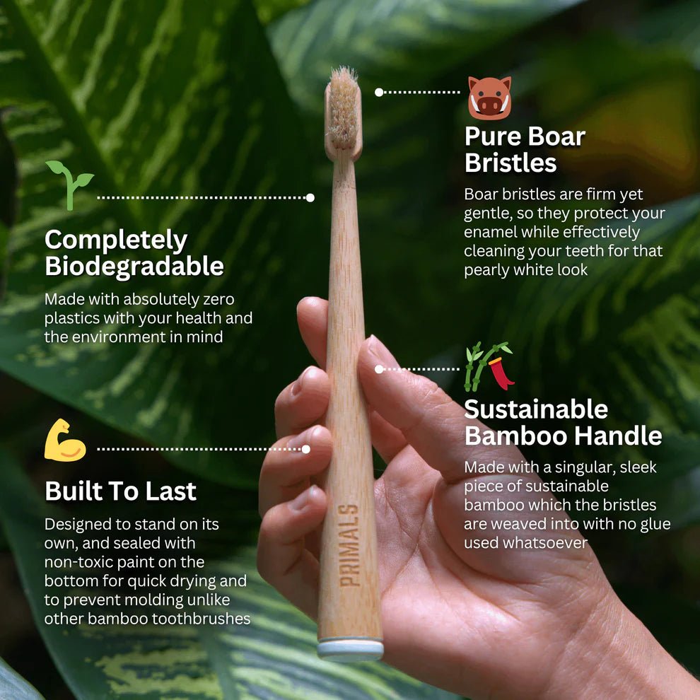 Boar Bristle & Bamboo Toothbrush (4 Pack) - WellHaus