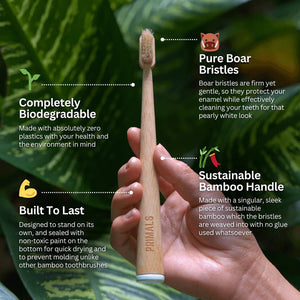 Boar Bristle & Bamboo Toothbrush (4 Pack) - WellHaus