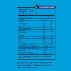 Happy Child: Mood & Brain Gummy - WellHaus