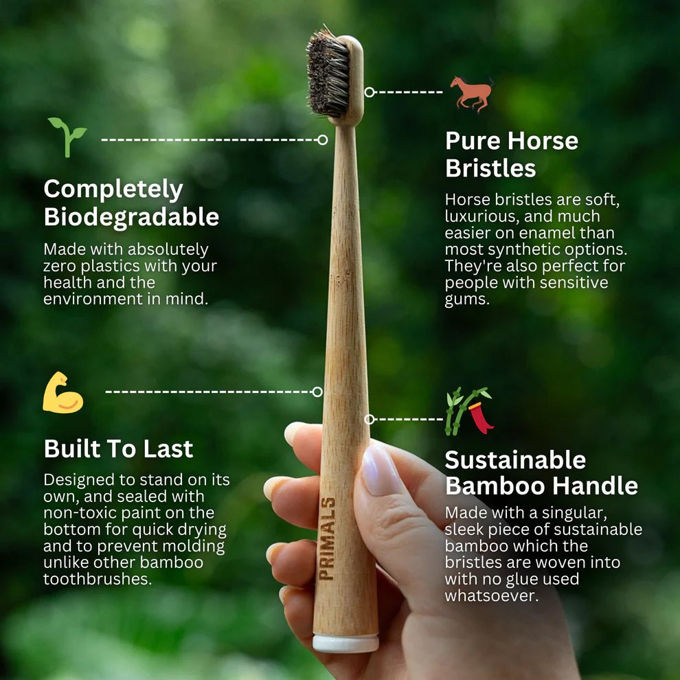 Horse Bristle & Bamboo Toothbrush (4 Pack) - WellHaus