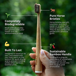 Horse Bristle & Bamboo Toothbrush (4 Pack) - WellHaus