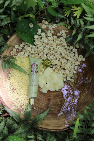 My Neighbors - Blue Tansy Hand Balm - WellHaus