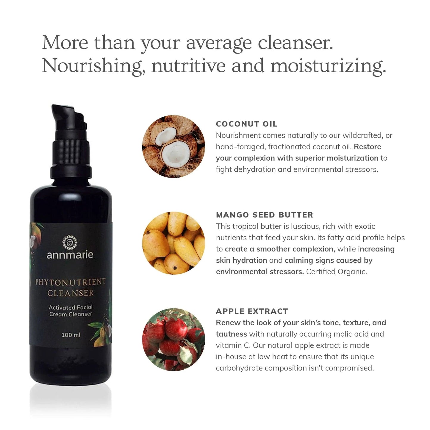 Phytonutrient Cleanser - Activated Facial Cream Cleanser - WellHaus