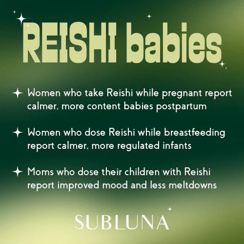 Reishi Mushroom Triple Extract® with Nano Extraction Technology - WellHaus