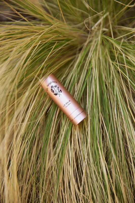 Rose Tallow Lip Balm - WellHaus