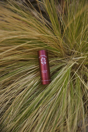 Rose Tallow Lip Balm (Tinted) - WellHaus
