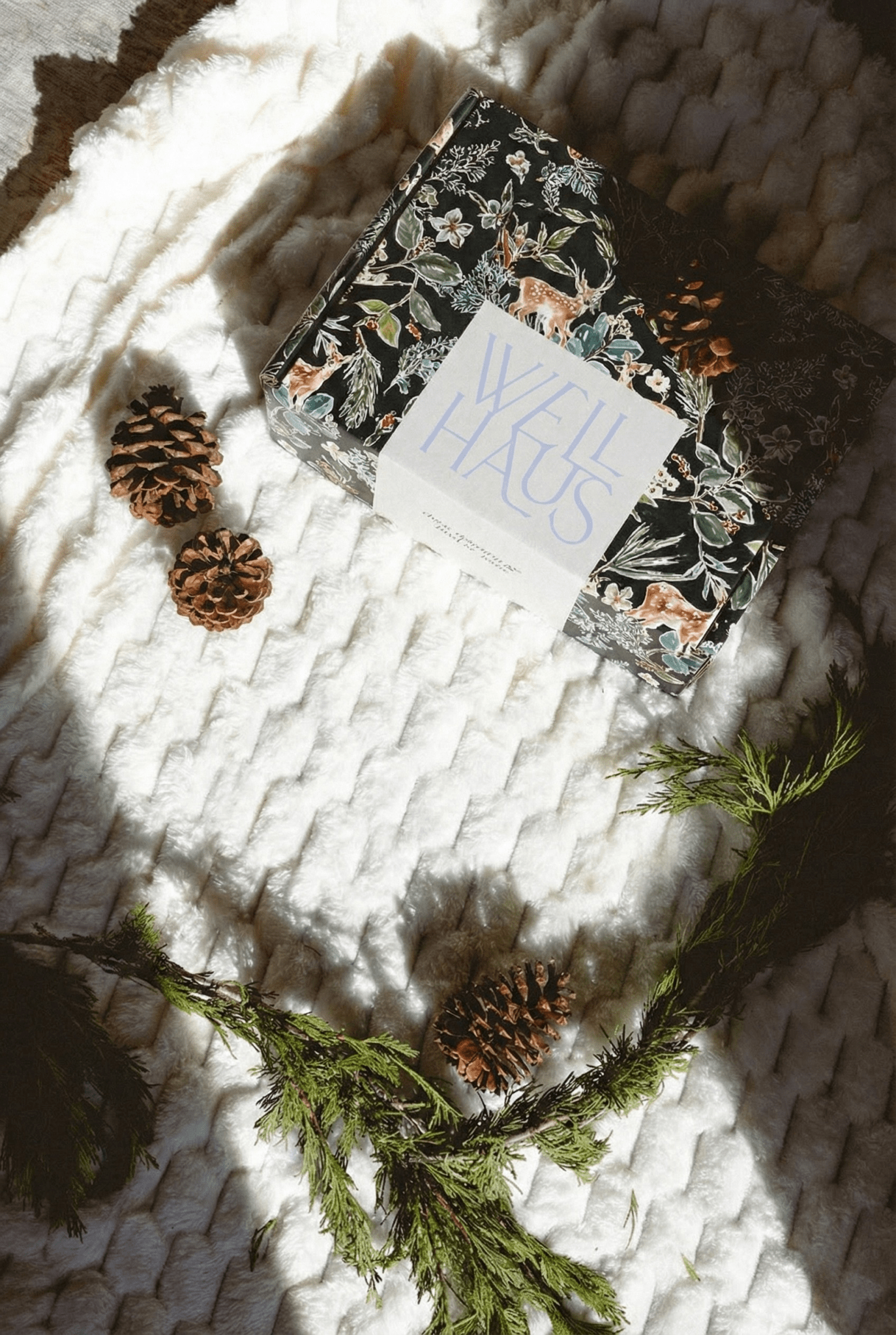 Seasonal Box - WellHaus