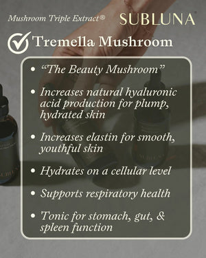 Tremella Mushroom Triple Extract - WellHaus