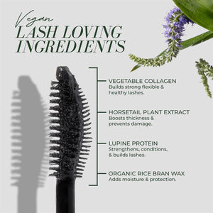 Vegan Good Lash + Mascara - WellHaus