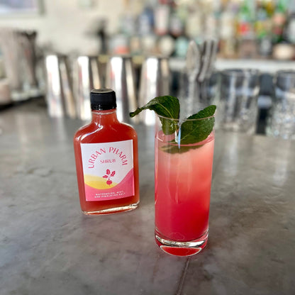 Watermelon, Mint, and Himalayan Salt Shrub - WellHaus