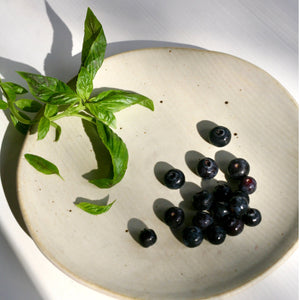Wild Blueberry and Basil Shrub - WellHaus
