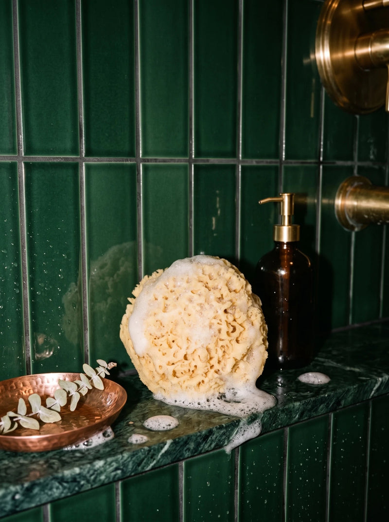 Wool Sea Sponge - WellHaus